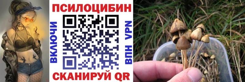 Галлюциногенные грибы MAGIC MUSHROOMS  Морозовск 